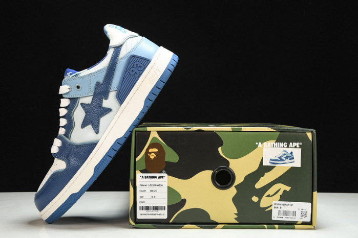 BAPE Shoe