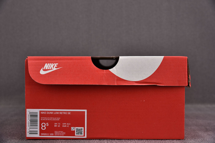 NIKE DUNK LOW WORLD CHAMP DR9511-100